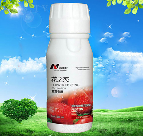 ��֮�ٲ�ݮ����-�Z���S