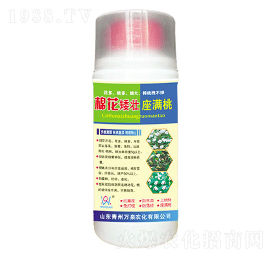 �޻��������M��-�f(w��n)Ȫ�r(n��ng)��