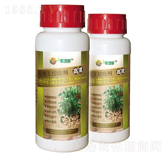 С�ֶջ�������-������������-�r�̘�