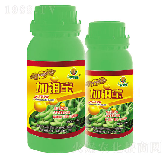 �����-���f��-�r(n��ng)�̘�