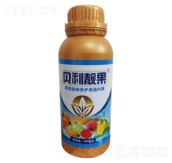 ֲ�ﱣ�o(h��)Ĥ-ؐ���n��-�V������