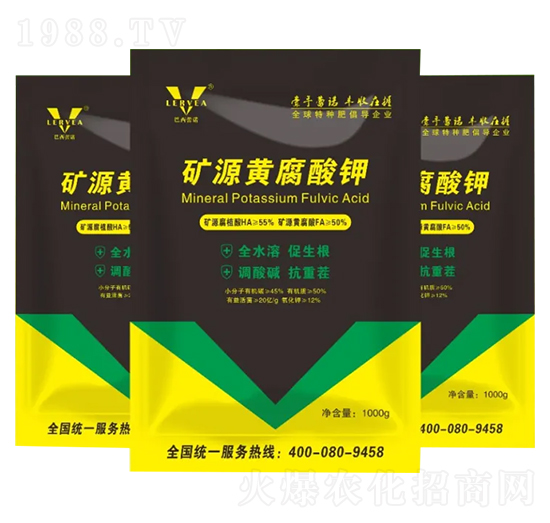 �VԴ�S�����-�������Z