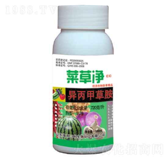 720��ÿ�������ײݰ�-�˲݃�-��������