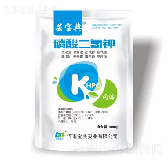 1000����������-�|����-���䌍�I(y��)