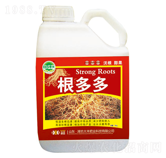 �����-��@���S-���S�ʘI(y��)