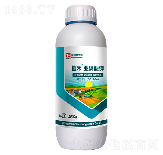 �������0-520-340-ֲ��-�̩