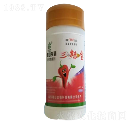 ������-��ɽ����