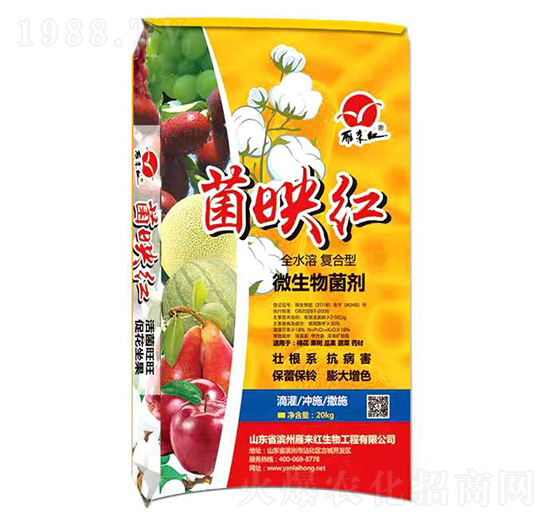 ȫˮ�܏�(f��)����΢�������-��ӳ�t-���(l��i)�t