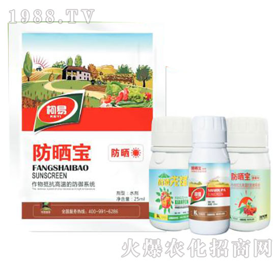 ����-����ֲ��