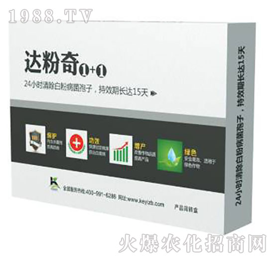 �_����1+1-����ֲ��