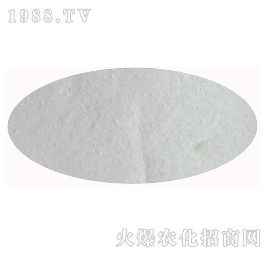 ��⛷�-��(f��)������