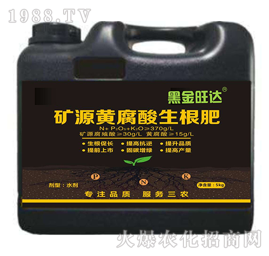 �VԴ�S����������-�ڽ����_-�͌�����