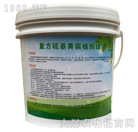 �ͷ�����S��ֲ���V-�콡����