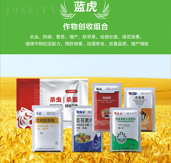 С�����a�ײ�-�{��Ʒ��