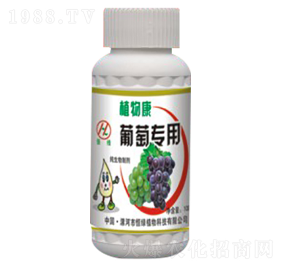 ���ь�(zhu��n)��ֲ�￵-��Gֲ��