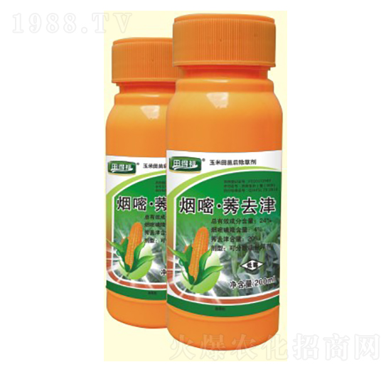 ���ס�ݬȥ��-��Gֲ��