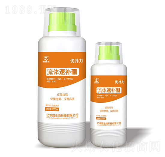 ���w���a��-���a��-�|�S¡