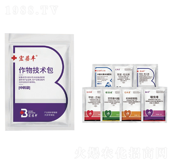 ���＼�g��-�����S-�����r