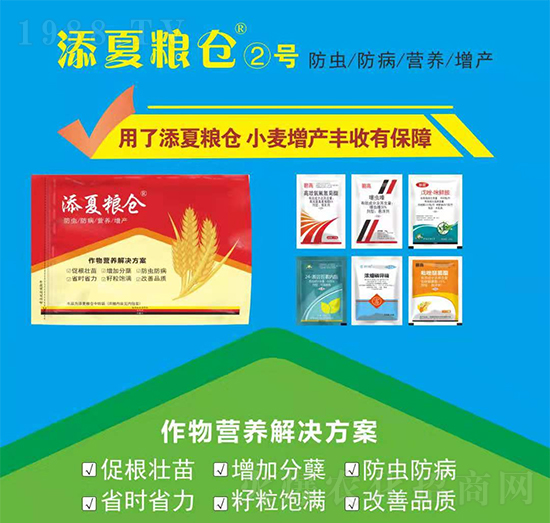 ����I(y��ng)�B(y��ng)��Q����-���ļZ�}��̖(h��o)-�S�՘�