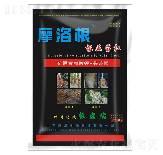 �VԴ�S�����+�|̦��-������t-���A����