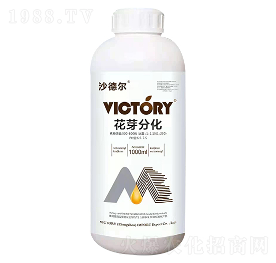 花芽分化-沙德?tīng)?維柯托瑞