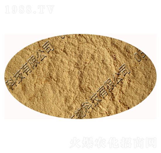 ��(x��)�S�Bù��-�������