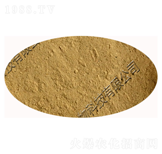 ��(c��)��ѿ�ߗU��-�������