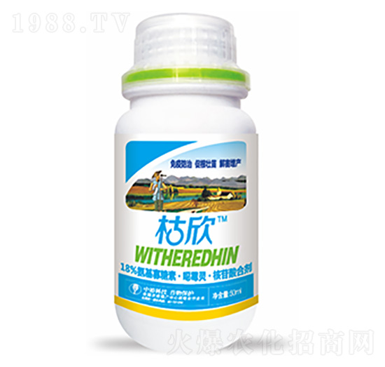 18%���������ء���ù�`��������τ�-����-�����Ƽ�