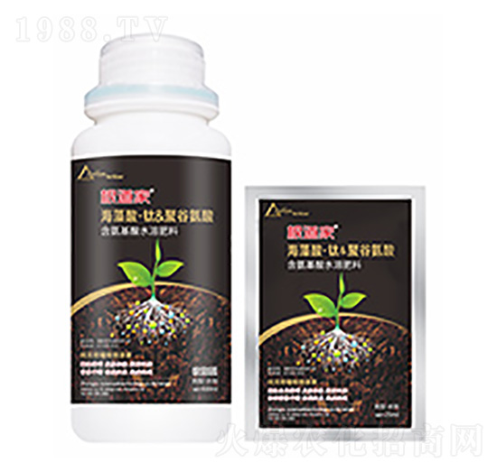 ������-�����Ƽ�