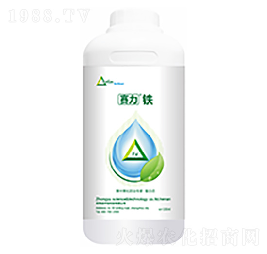 ِ���F-�����Ƽ�