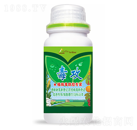 ����-�����Ƽ�