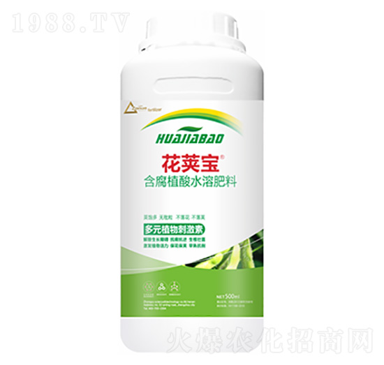 �󶹻�Ӣ��-�����Ƽ�