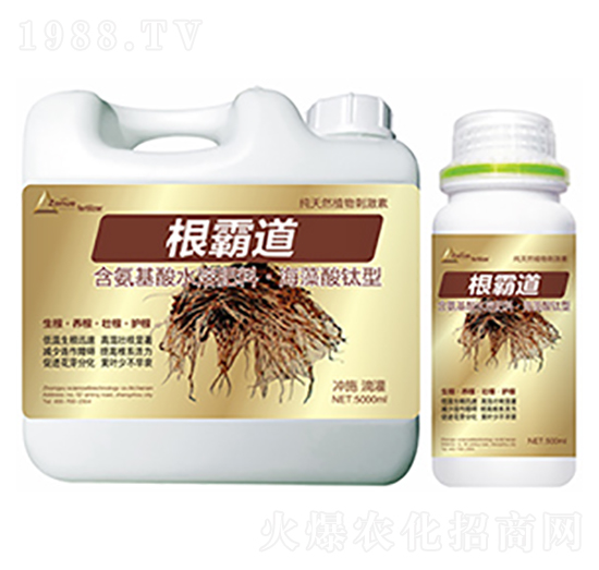 ���Ե�-�����Ƽ�