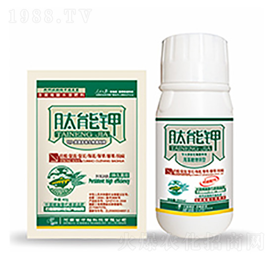 �����-�����Ƽ�