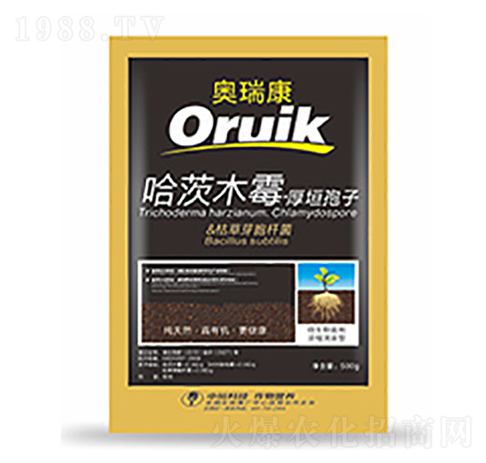 �W��-�����Ƽ�