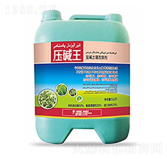 �}�A����������-���A��-�����Ƽ�