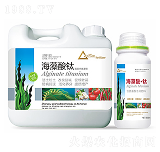 �������-�����Ƽ�