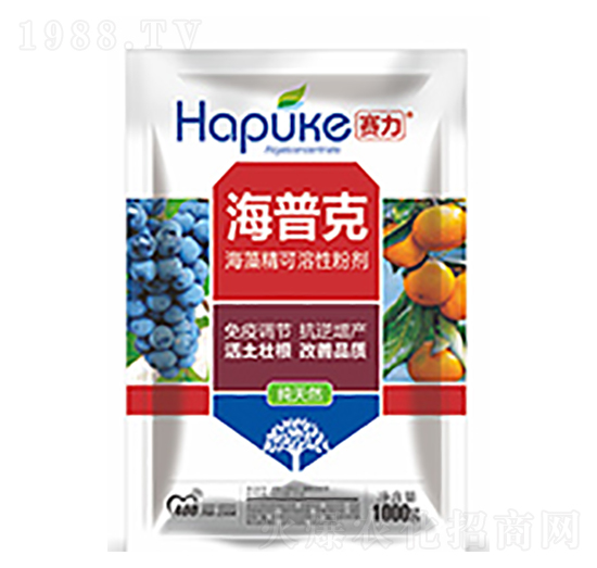 ِ�����տ�-�����Ƽ�