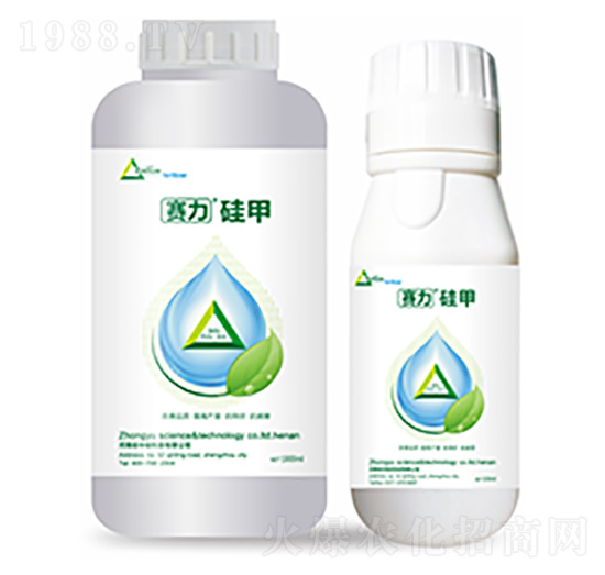 ِ�����-�����Ƽ�