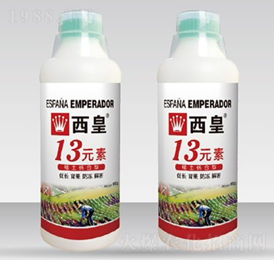 13Ԫ��-����-����˹�D