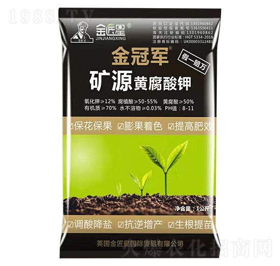 �VԴ�S�����-����