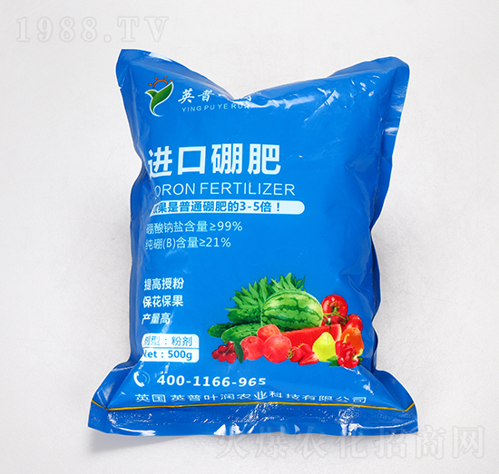 �M�����-Ӣ���~��