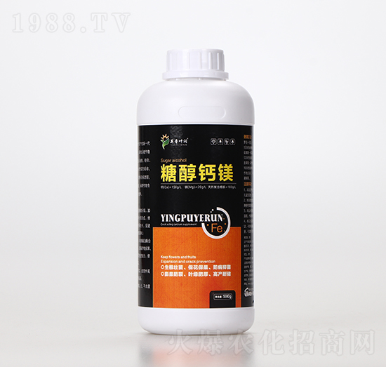 �Ǵ��}�V-Ӣ���~��(r��n)