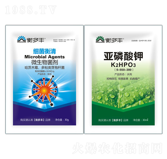 1+1�B���Լ���������-��������-����S