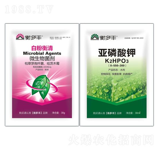 1+1�B���԰׷۲�����-�׷ۺ���-����S