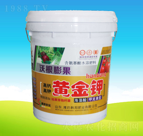 �S���-�n��ʘI(y��)