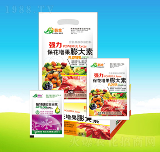 �����������������-�n��ʘI(y��)