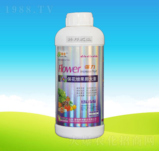 �������������-�n��ʘI(y��)