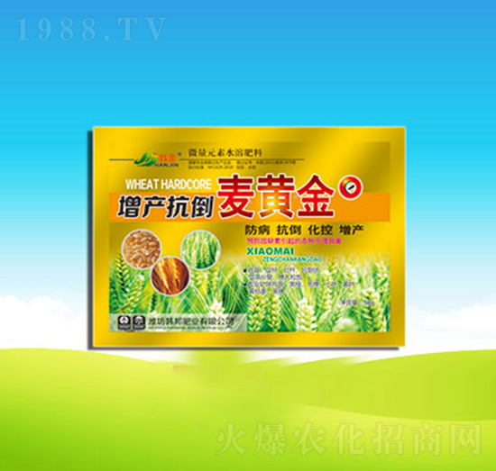 ���a(ch��n)�������S��-�n��ʘI(y��)