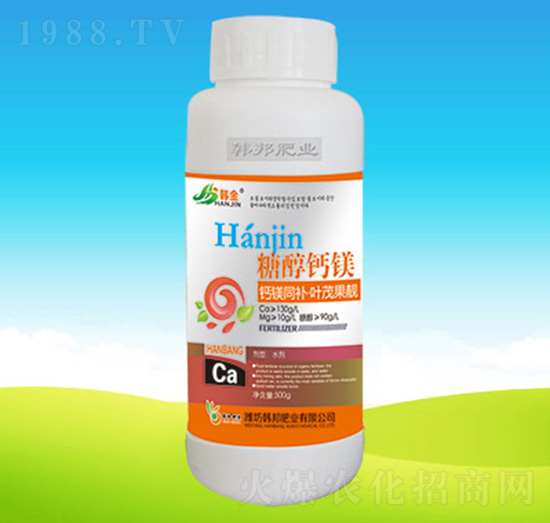 �Ǵ��}�V-�n��ʘI(y��)